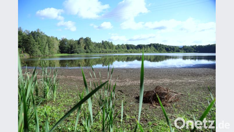 Der Wasserspiegel des Hirschbergweihers sinkt drastisch. Bild: bkr