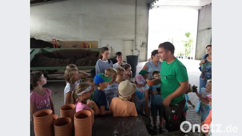 Ferienprogramm Besuch der Baumschule Punzmann Menzlhof. Bild: ils