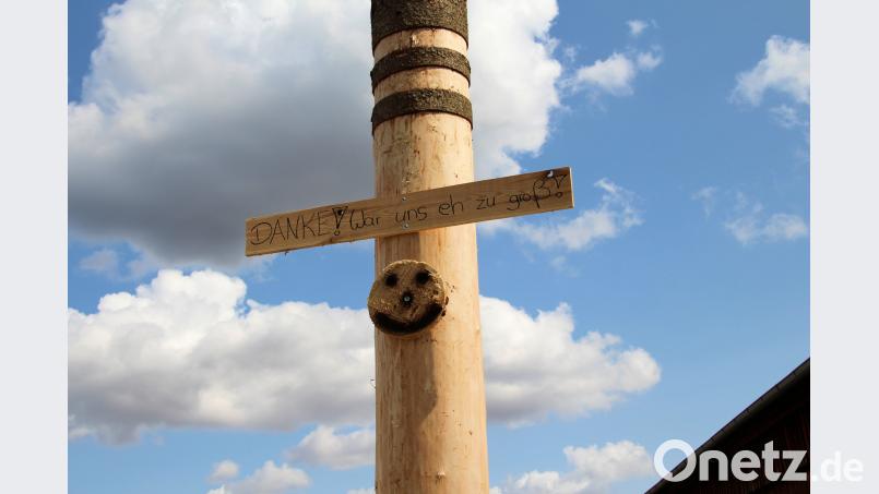 Ein Hinweisschild „Danke, war uns eh zu groß“ war am Baum angebracht Bild: bjo