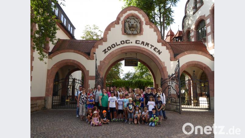 Die Neustädter fahren mit einer großen Gruppe zum Leipziger Zoo. Bild: stn