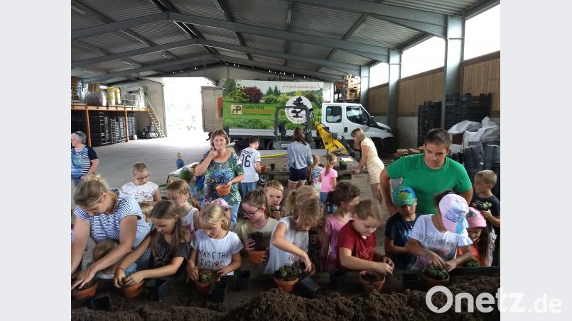 Ferienprogramm Besuch der Baumschule Punzmann Menzlhof. Bild: ils