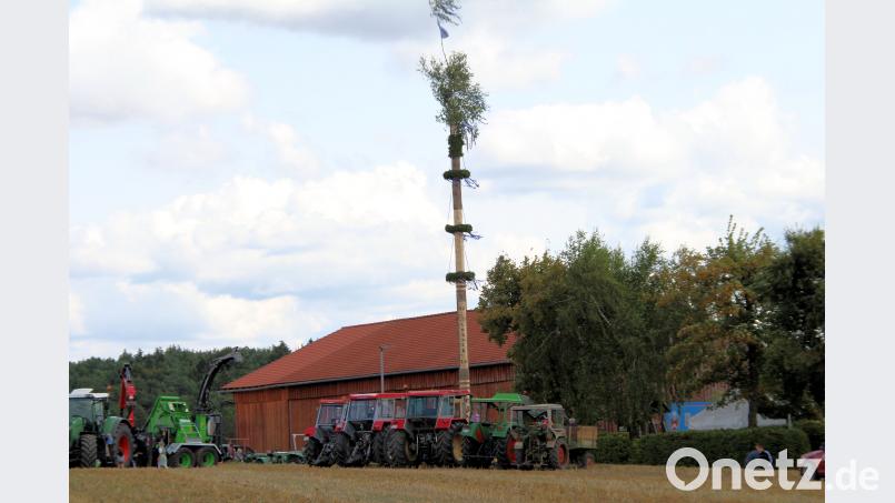 Der aufgestellte Kirwabaum am Dorfhaus mit Birkenspitze neben den Traktoren. Bild: bjo