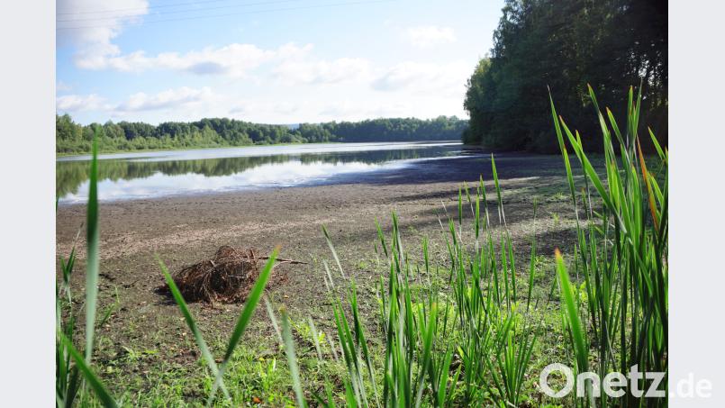 Der Wasserspiegel des Hirschbergweihers sinkt drastisch. Bild: bkr