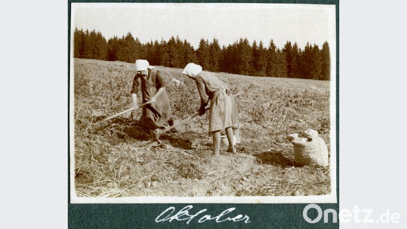 &quot;Erdäpfel graben am Unterlinder Hammerfeld&quot; im Umfeld des Hammerkirchl (etwa 1920): Frauen mussten das harte und steinige Erdreich bei der Ernte mit viel Geschick umgraben ohne die Knollen zu verletzen. Repro: : Bild: Repro: Josef Wiche