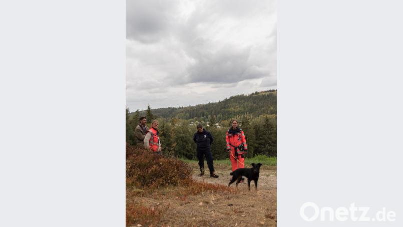 Beim Training zeigt sich, nicht die Hunderasse ist entscheidend: Der Charakter und die Motivation des Tieres sowie die Fachkenntnis des Trainers führen zum Erfolg. Bild: dtr