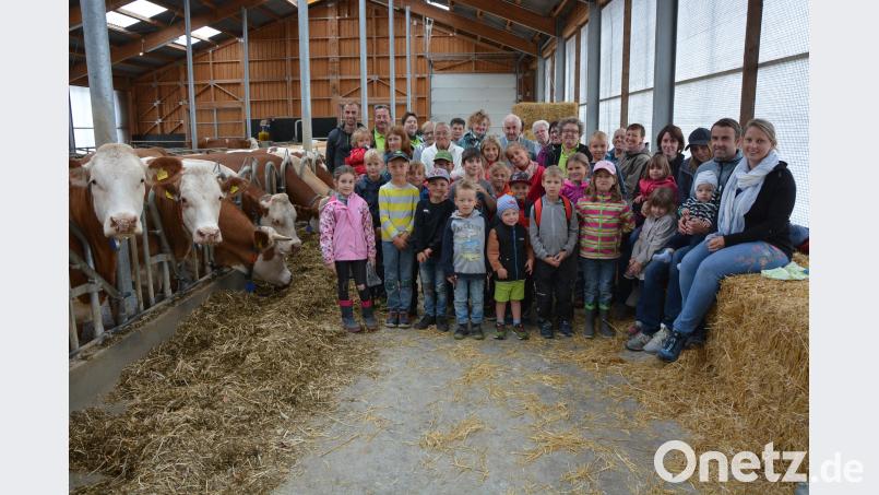 Stark beeindruckt zeigten sich 20 Kinder und ihre Begleiter vom Bauernhof der Familie Männer in Pechofen. Ermöglicht hatten den Besuch die Wanderfreunde Mitterteich im Rahmen des Ferienprogramms. Landwirt Ludwig Männer jun. (hintere Reihe, links) und seine Familie erzählten viel Wissenswertes rund um die Milcherzeugung. Bild: jr