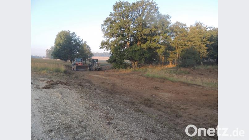 Verbreitete Brandschutzstreifen wurden bei der großen Trockenheit neben dem bisherigen Netzsystem mit Raupen, Grätern und Ladern der US-Armee zwischen den einzelnen Geländeteilen des Übungsplatzes angelegt. Bild: mor