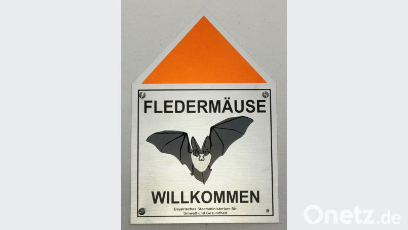Gern folgen die Mausohren dieser Einladung an der Kirche. Bild: Huber
