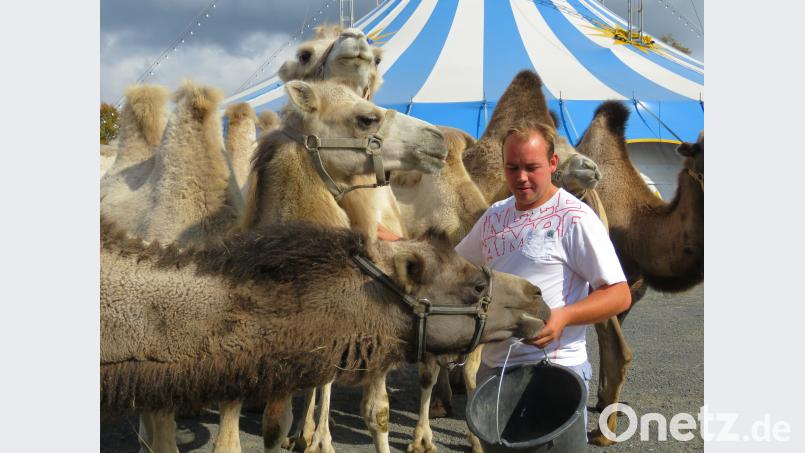Die sibirischen Steppenkamele bekommen Brot. Das ist einfach zu besorgen, denn die Großbäckereien haben immer was übrig, erklärt Robin Frank. Bild: ubb