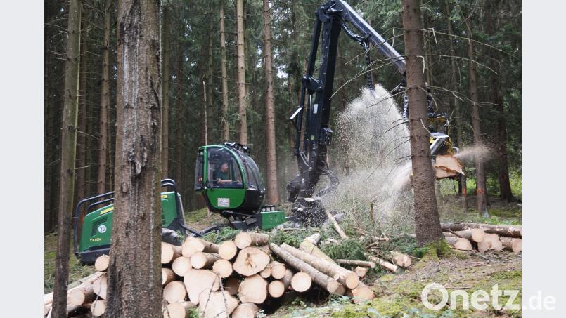 Harvestereinsatz in einem Waldstück bei Zeßmannsrieth: Die Maschine entfernt von Borkenkäfern befallene Bäume um die Verbreitung des Insekts einzudämmen. Bild: Schönberger