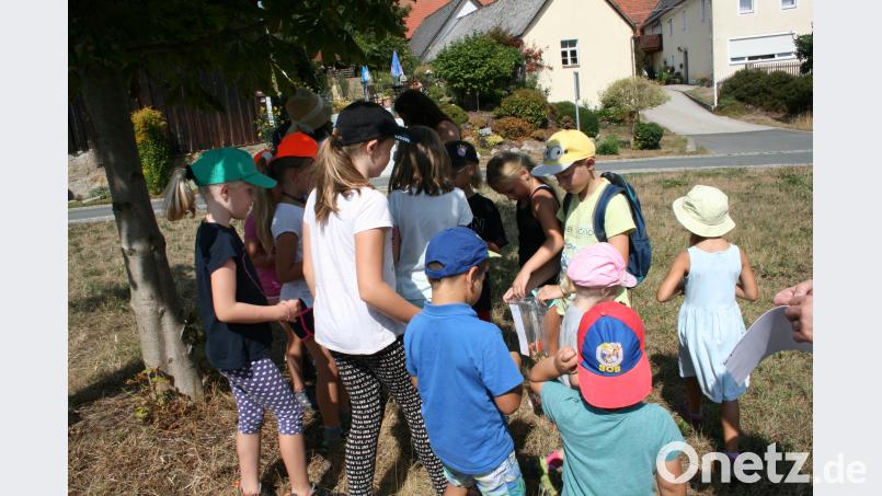 Erwartungsfroh stellten sich die Kinder am Dorfweiher zusammen, um die ersten „Briefe“ mit Botschaften und „Wundertüten&quot; zu suchen. Bild: roh