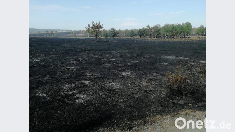 Brand im Truppenübungsplatz Grafenwöhr. Bild: mor