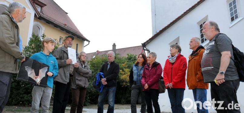 Nach einer Einführung im Hof der evangelischen Kirche Peter und Paul nehmen Hans Vogel (links) und Gerd Horn (Dritter von links) ihr Publikum mit auf einen Besuch in der Fledermauskolonie im Kirchenschiff. Bild: Huber