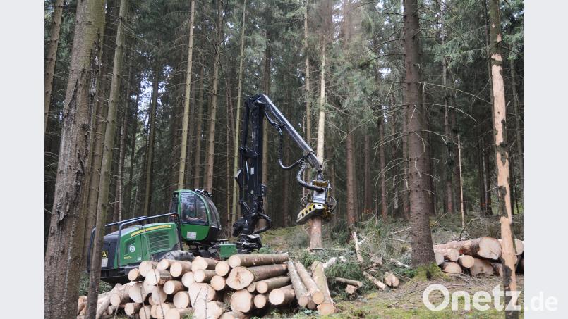 Harvestereinsatz in einem Waldstück bei Zeßmannsrieth: Die Maschine entfernt von Borkenkäfern befallene Bäume um die Verbreitung des Insekts einzudämmen. Bild: Schönberger