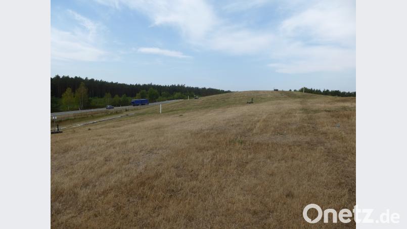 Es läuft alles nach Plan: Auf diesem 10,7 Hektar großen Gelände der Deponie Kalkhäusl rechts von der Staatsstraße 2166 in Richtung Dürnast entsteht ein Solarpark. Betreiber ist die Zeno-Naturpark GmbH aus Floß. Die Vorbereitungen beginnen Mitte September. Bild: bk