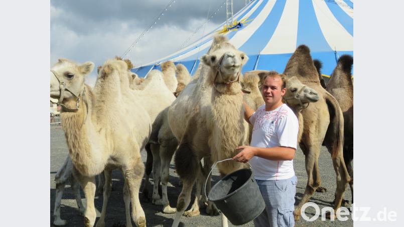 Robin Frank mag seine Tiere. Die Dressur, sagt er, machen alle Familienmitglieder gemeinsam. Bild: ubb