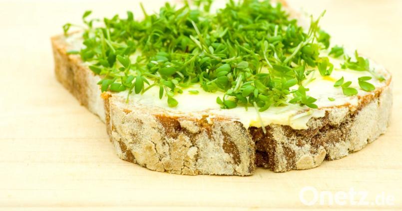 Frisches Brot, gute Butter und Kräuter – das schmeckt auch Kindern. Bild: unpict – stock.adobe.com