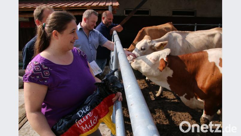 Faire Milch, glückliche Kühe: Anja und Christian Beutner (von links) haben ihren Betrieb 2016 auf Bio umgestellt. BDM-Kreischef Werner Reinl und Hubert Meiler freuen sich übers Tierwohl im Freilaufstall. Bild: jrh