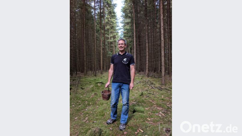 Stefan Hartwig steht in einer Schneise eines Fichtenwalds. Es ist derzeit ein guter Ort für die Pilzsuche, weil dort das Regenwasser nicht von den Bäumen abgehalten wird und der Boden feucht ist. Bild: Konrad