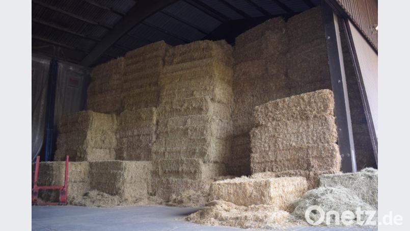 Etwa die Hälfte des Strohs hat Bäumler aus Tschechien zur Fütterung zugekauft. Bild: Konrad