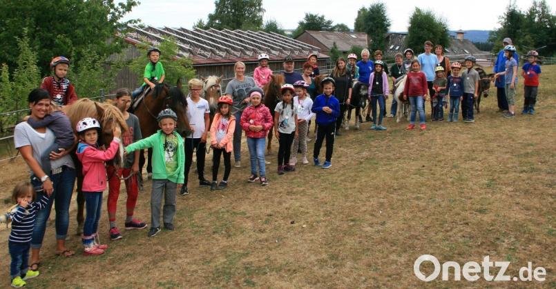 Gut 25 Buben und Mädchen meldeten sich zum Ferienprogramm der Waldershofer Naturfreunde an. In Rodenzenreuth warteten bereits die Gastgeber und deren Tiere auf sie. Bild: wro