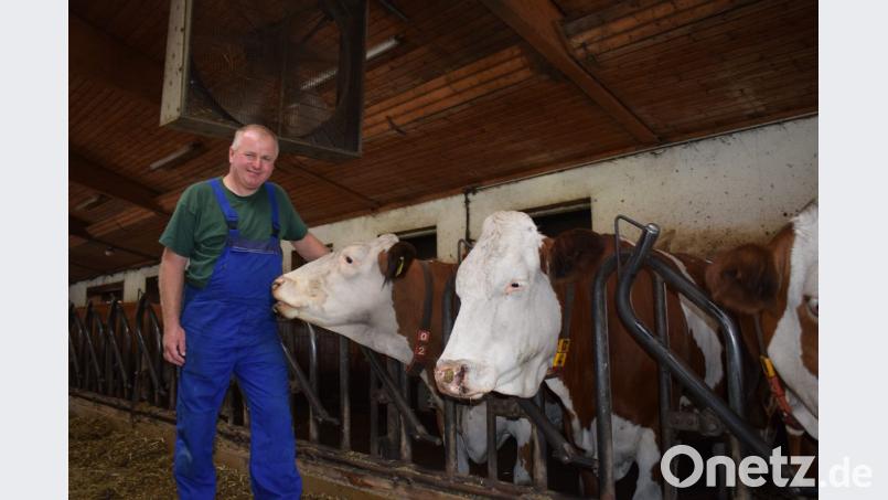 Manfred Bäumler betreibt mit seinem Bruder Martin in Obertresenfeld einen Mischbetrieb mit rund 250 Rindern. In diesem Jahr kommt er mit den Vorräten des vergangenen Jahres aus. Die Trockenheit bereitet ihm trotzdem Sorgen. Bild: Konrad