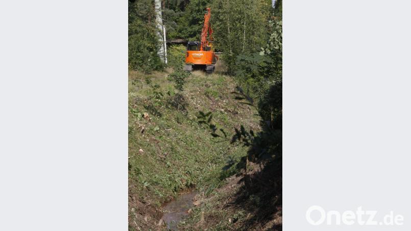 Kaum zu glauben, dass dieses Rinnsal solchen „Schrecken“ auslösen kann. Die Ufer des Schreckerbaches werden jetzt entbuscht. Bild: Hirsch