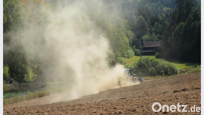 Die Felder werfen kaum etwas ab. Das Tierfutter fehlt. Das macht den Viehzüchtern der Region große Sorgen. Bild: Schönberger