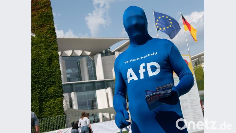 Alternative Montur: Ein komplett verhüllter Unterstützer der AfD mit der Aufschrift „Verfassungsheld AfD“ auf der Brust seines Ganzkörperanzugs verteilt beim Tag der offenen Tür der Bundesregierung vor dem Kanzleramt Informationsbroschüren der Partei. Bild: Paul Zinken/dpa