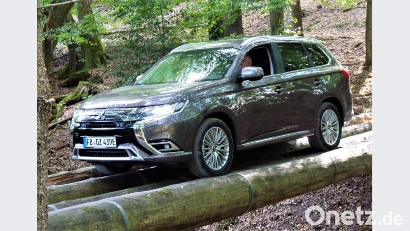 Das Balancieren auf Baumstämmen stellt eher den Fahrer auf eine Probe. Bild: bz