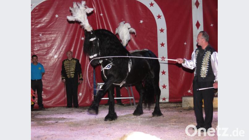 Zirkus Henry in Tirschenreuth Bild: ubb