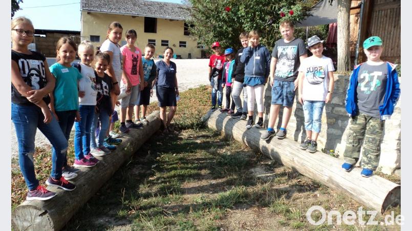 Ein Besuch auf dem Bauernhof ist für Kinder immer ein Erlebnis. Auf dem Brunner-Hof war auch noch Geschicklichkeit gefragt. Bild: ksi