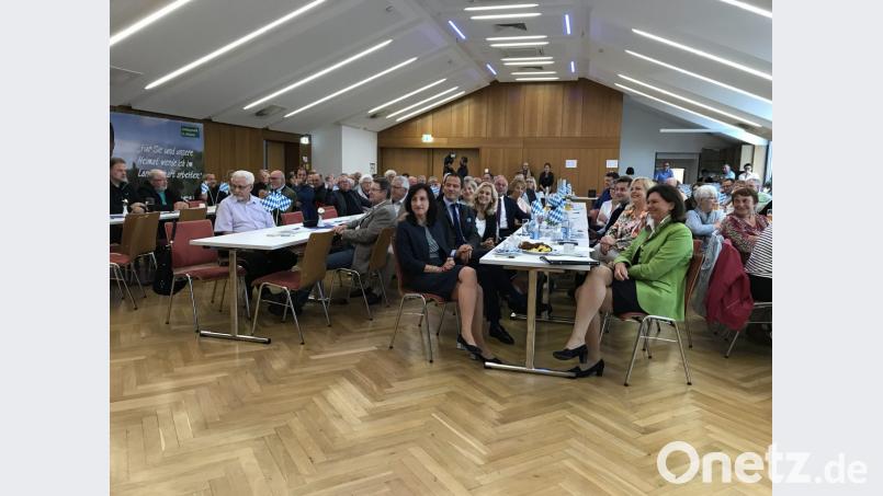 Der Festsaal im Landrichterschloss ist gut gefüllt beim Auftritt der stellvertretenden Ministerpräsidentin Ilse Aigner. Bild: eig