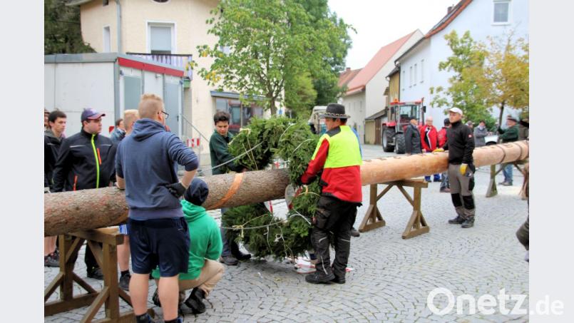 Die Boum befestigen die Kränze am Kirwabaum. Bild: bjo