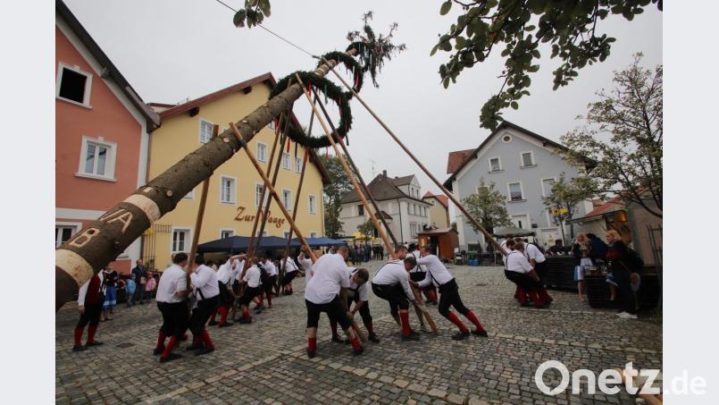 Mit vereinten Kräften wuchten die Kirwaboum den 30-Meter-Riesen in die Höhe. Bild: mfh