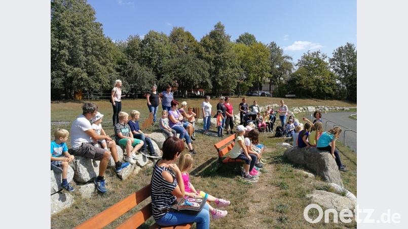Ein Blick auf die Pferde des Lipperthofs. Die Püchersreuther SPD hat die Kinder im Ferienprogramm auf das Gestüt eingeladen. Bild: Kreuzer, Tom