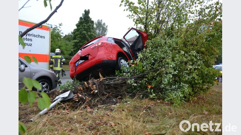 Das Auto machte ein Schild platt und entwurzelte ein Gebüsch. Bild: za