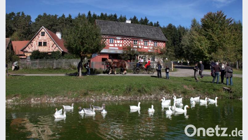 Die vielen Aktionstage ziehen stets zahlreiche Besucher - nicht nur aus der Region - ins Freilandmuseum Neusath-Perschen. Bild: Götz