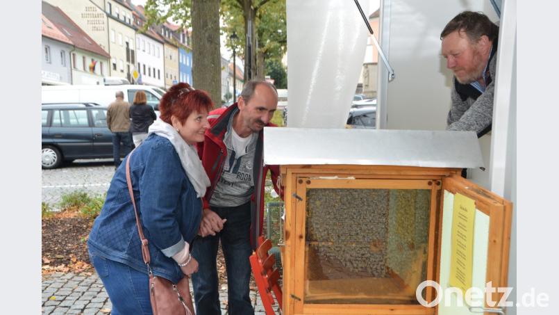 Beim Ägidiusmarkt informierten sich die Besucher bei Maiers Honigladenstand über die emsigen Bienen. Bild: dob