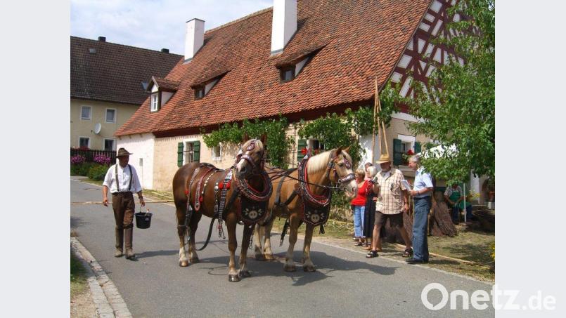 Auf dem Gogelhof gibt es am Sonntag Pferde, Hufschmied und alte landwirtschaftliche Geräte in Aktion zu sehen. Bild: exb