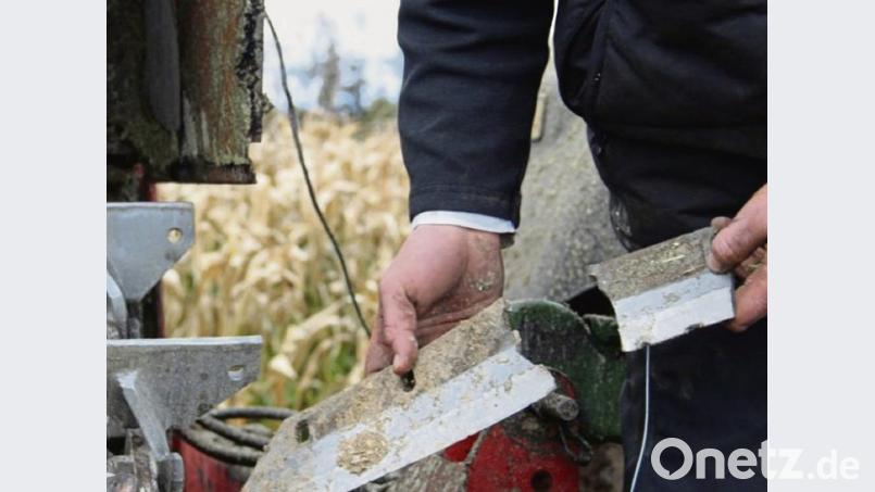 Bei der Anschlagsserie vor einigen Jahren im Kreis Amberg-Sulzbach glichen sich die Ereignisse: Ein 20 Zentimeter langer Stahlbolzen wurde jeweils an den Maispflanzen befestigt. Er geriet ins Häckselwerk und riss die Klingen aus der Verankerung, die auf dem Traktordach einschlugen. Verletzt wurde glücklicherweise niemand Bild: upl