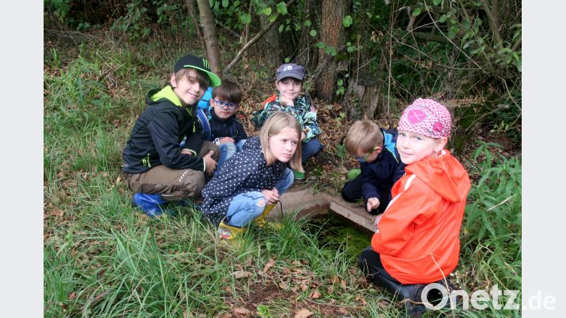 Einen erlebnisreichen Tag verbrachten die Kinder bei der &quot;Naturentdeckertour&quot;. Bild: exb