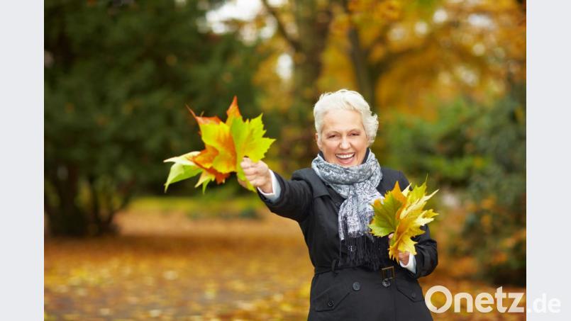 Es gibt viele Gründe, den Herbst zu lieben. Bild: Robert Kneschke – stock.adobe.com