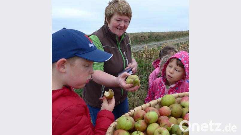 Bäuerin Elisabeth Pröls informiert die "Flosser Gartenkrähen" über die verschiedenen Apfelsorten. Bild: tss
