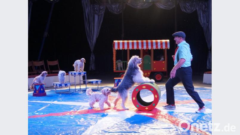 Den größten Spaß bereitete den Kindern die niedliche Hundenummer. Bild: weu