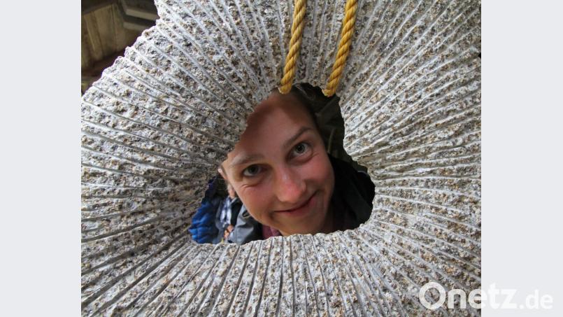 Den Blick für die Kunst und durch das aufgehängte Granitherz stellten zehn Studenten über zwei Wochen hinweg unter Beweis. Am Freitag präsentierten sie die aus dem Stein entstandenen Impressionen. Bild: nm