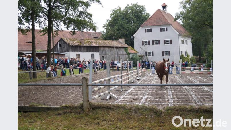 Mit Spannung verfolgen die Besucher die Aktivitäten von Glückspferd Jana beim Bingo. Bild: exb