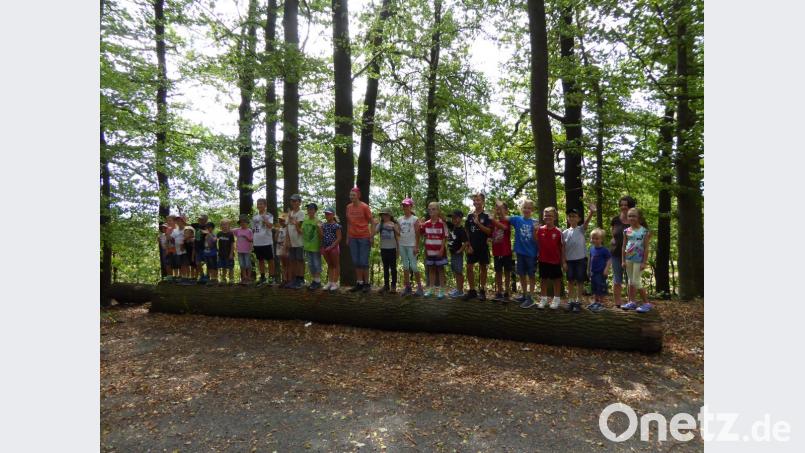 Beim Balancieren ist Gleichgewicht gefragt. Bild: stn