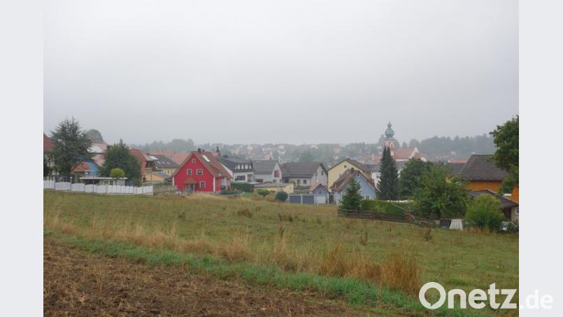 Am nordwestlichen Ortsrand beabsichtigt die Kommune ein neues Baugebiet, das mit dem Ausbau von Regensburger und Oberhausener Straße an Attraktivität gewinnen soll. Bild: fjo