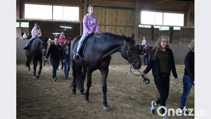 Das Kinderreiten ist wieder einer der Höhepunkte des Hoffests in Erlhammer. Bild: exb